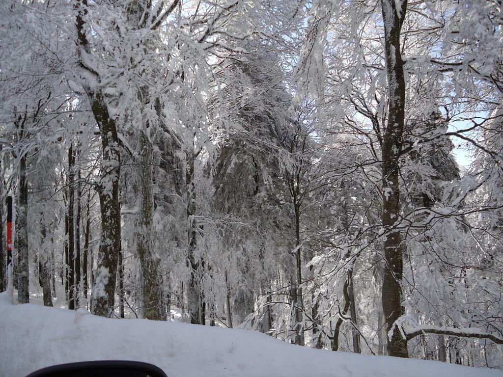 Berghotel Schiller Schonach im Schwarzwald Luaran gambar