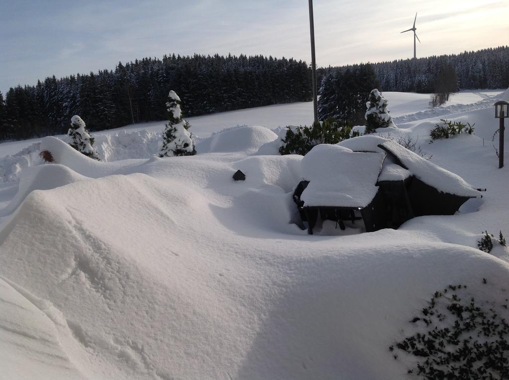 Berghotel Schiller Schonach im Schwarzwald Luaran gambar