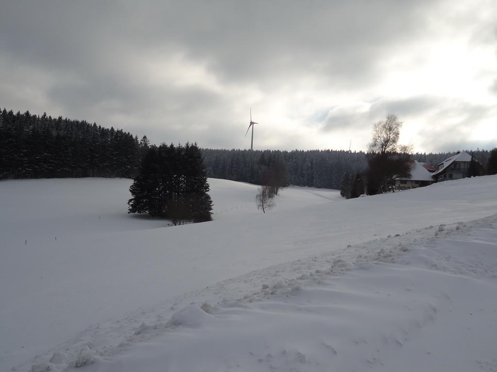 Berghotel Schiller Schonach im Schwarzwald Luaran gambar